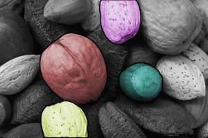 colorize_elements colorize_elements